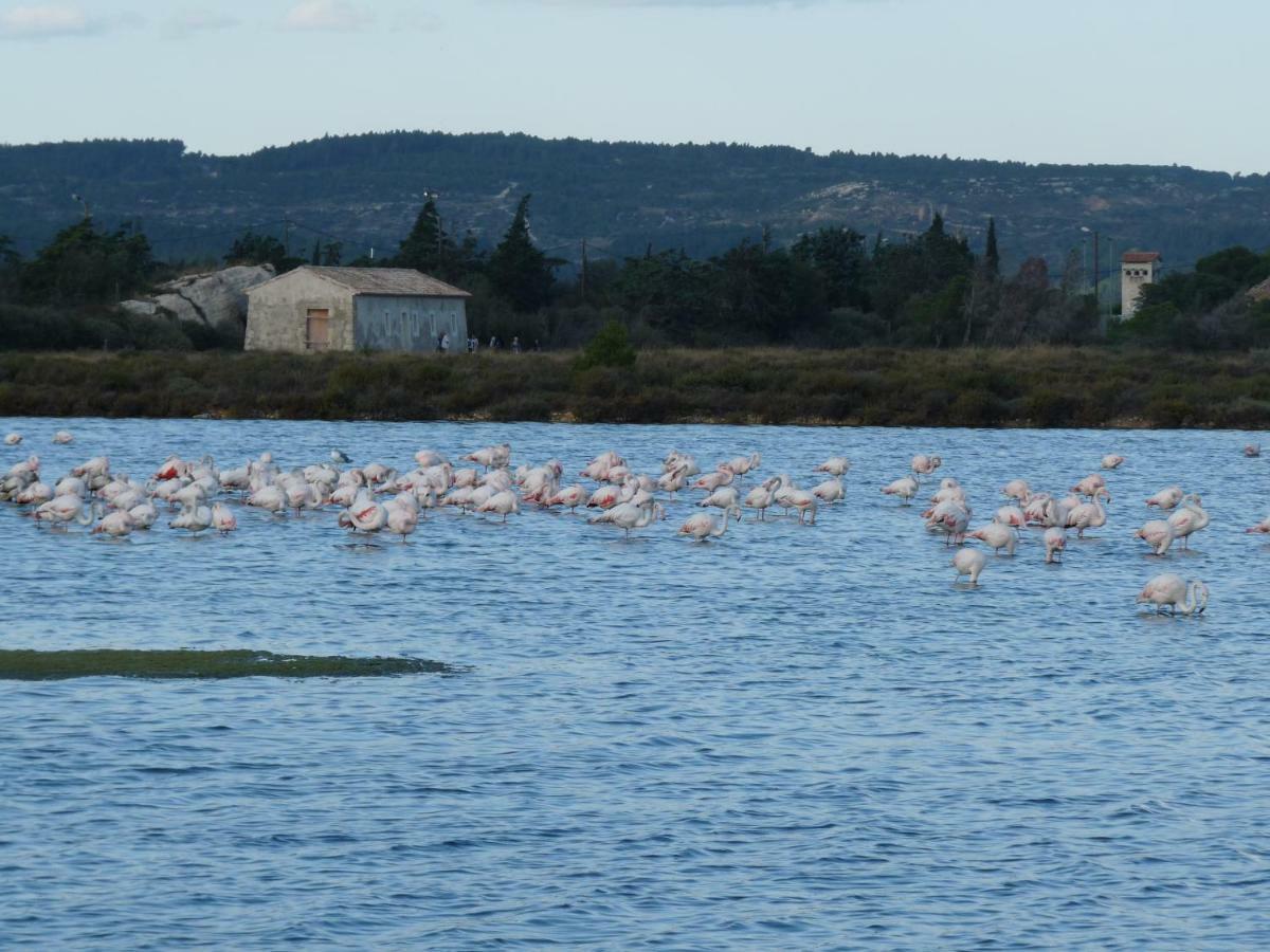 appartement de la callade Peyriac-de-Mer Esterno foto